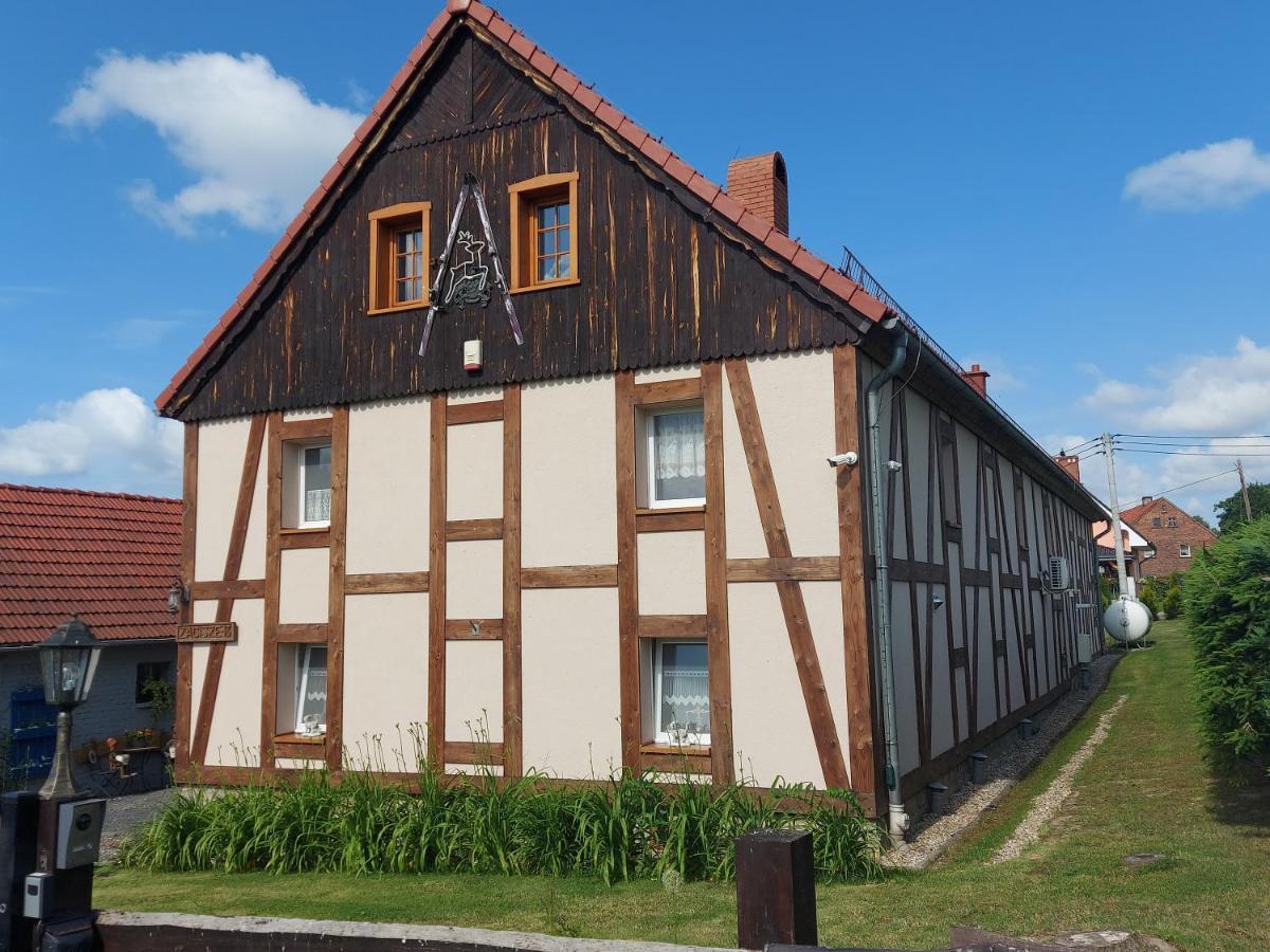 Zacisze 13 Apartamento Leśna Exterior foto